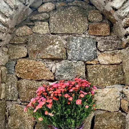 Beautiful Traditional Apt In Mikonos Ano Mera